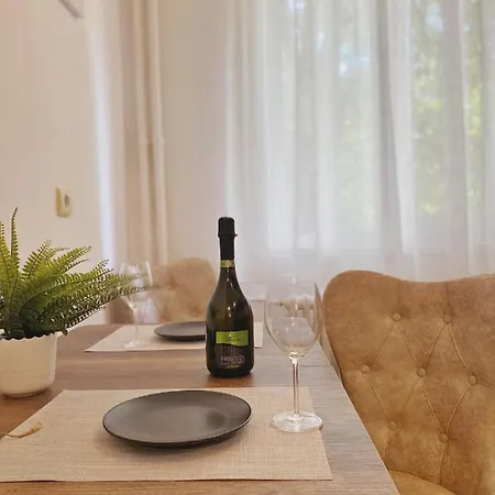 Apartment Central Apartament Timisoara