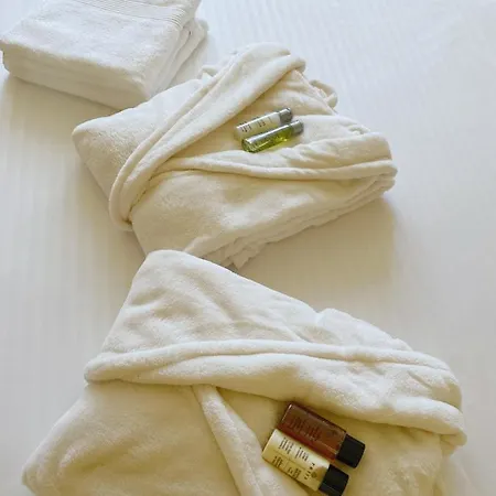 Central Apartament * טימישוארה
