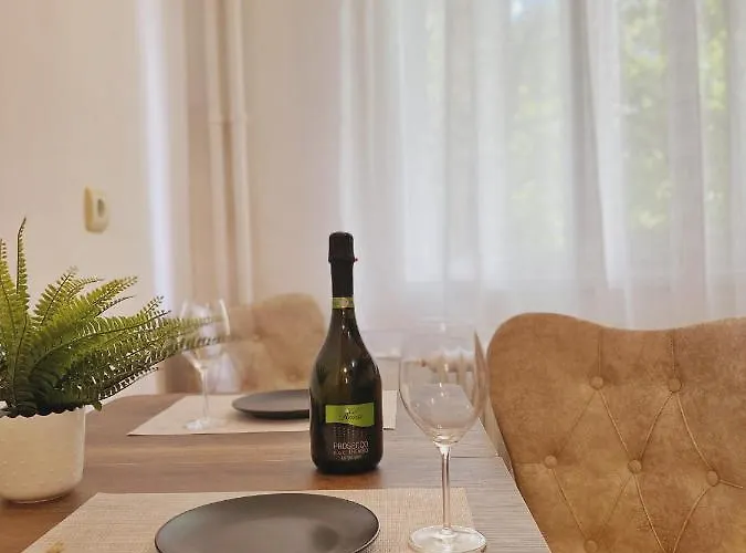 Apartment Central Apartament Timisoara