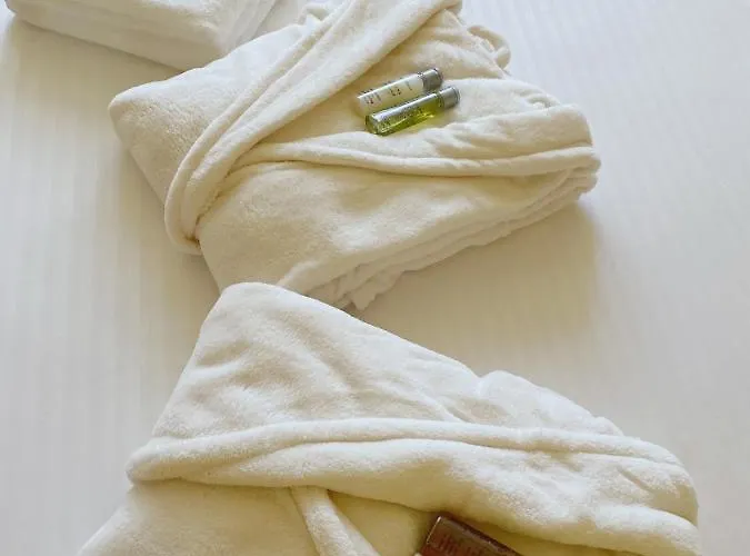 Central Apartament * Timisoara