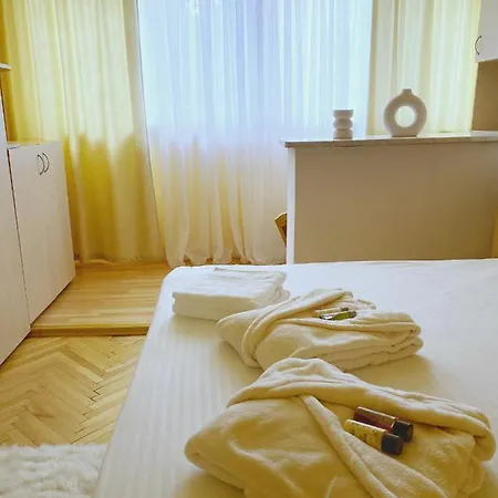 公寓 Central Apartament 蒂米什瓦拉