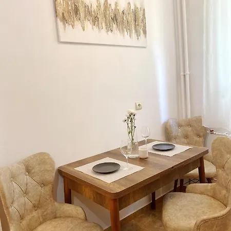 公寓 Central Apartament *